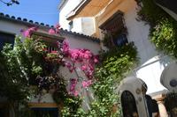 Innhof in der Altstadt 