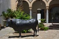 Vor dem Stierkampfmuseum