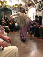0361 Flamenco-Abend in Granada