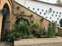 0333 Patios in Cordoba