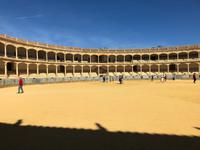 0292 Stierkampfarena Ronda