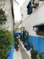 0180 Spaziergang Rabat