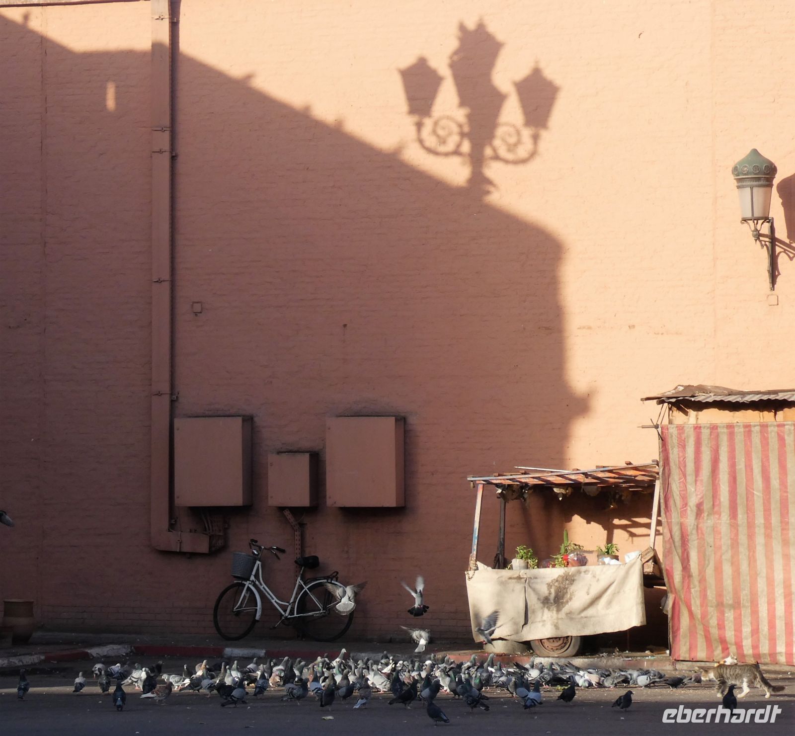 Marrakesch wir kommen