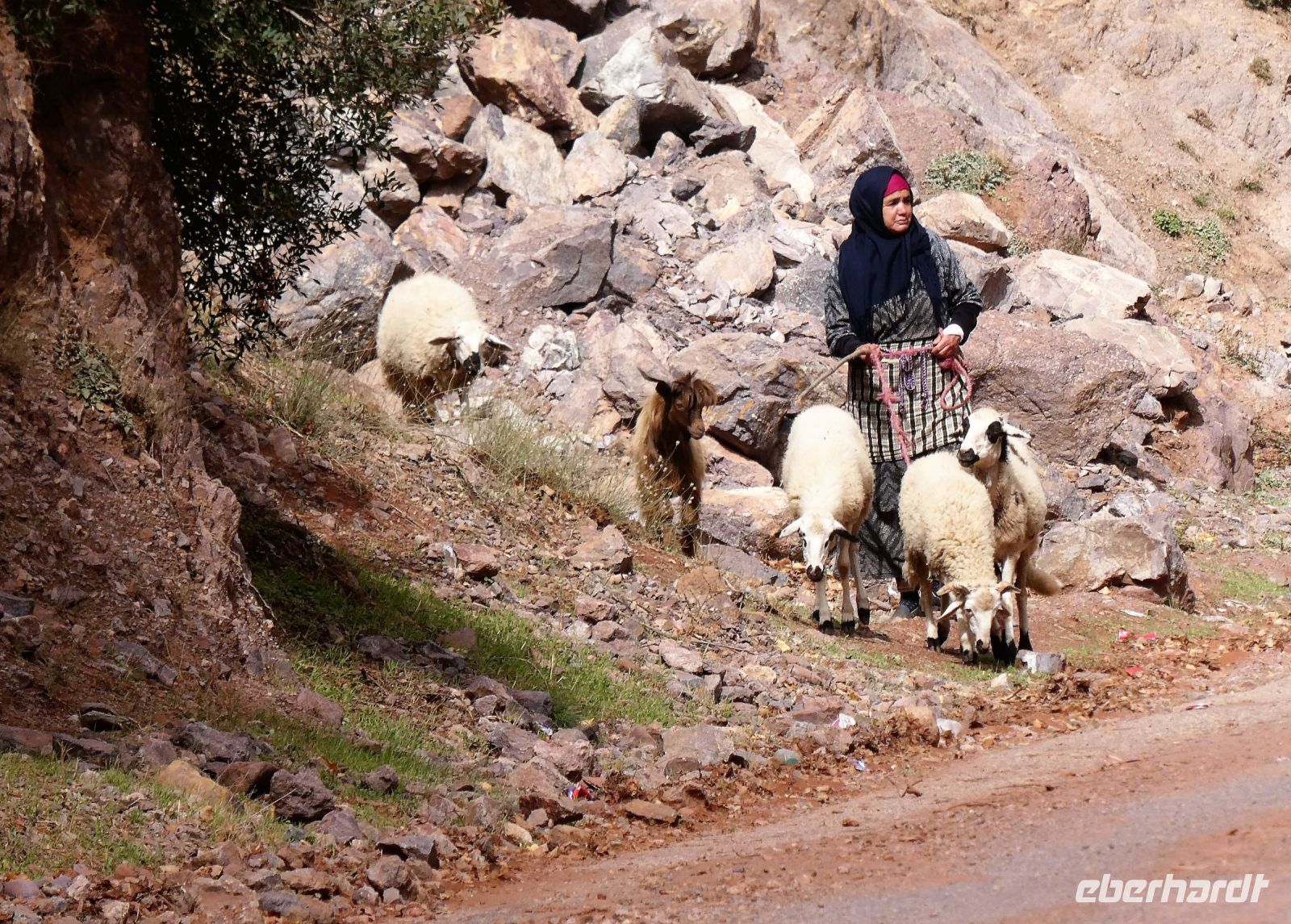 Schafe hüten ist Frauenarbeit