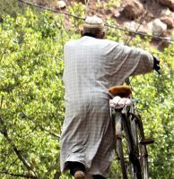 begehrter Fahrbarer Untersatz