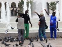 hier ist Tauben füttern schick