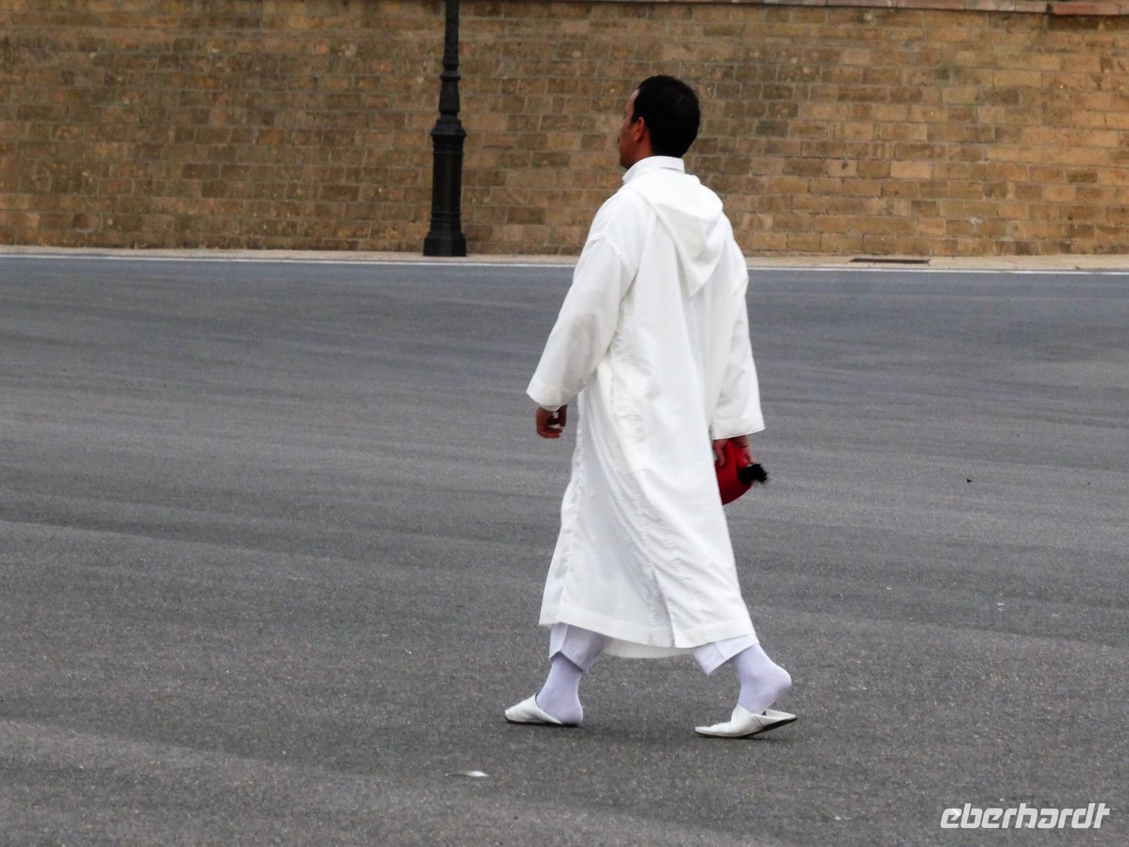 Wache des Königs ganz in Weiss