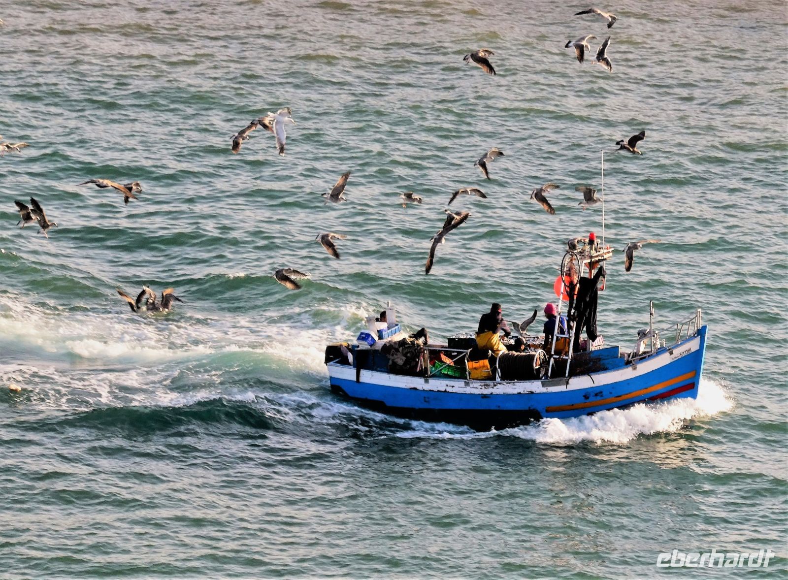 Fischer kommen vom Fischfang