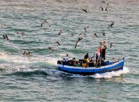 Fischer kommen vom Fischfang