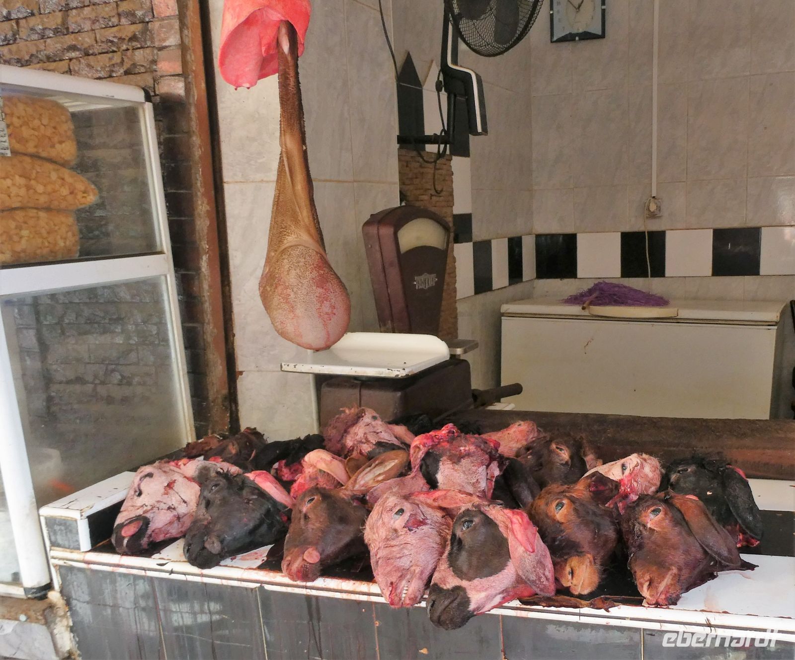 Schafskopf - eine Delikatesse