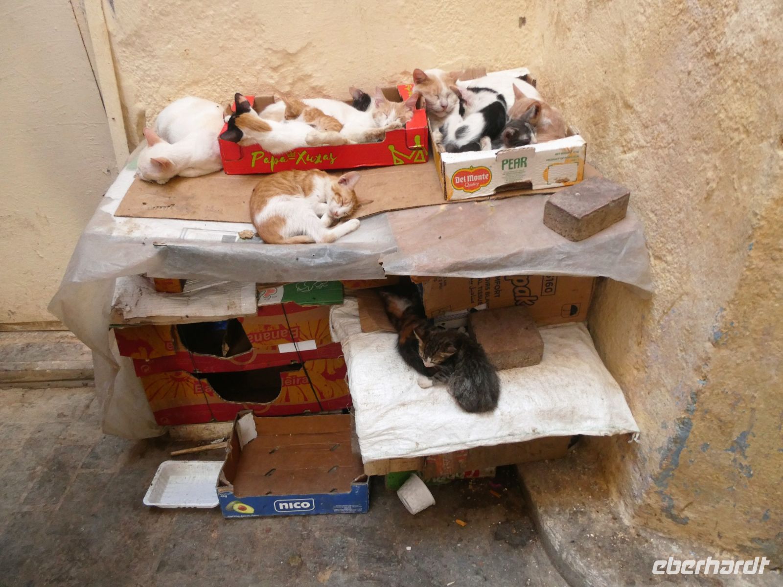 sie geht das alles nichts an