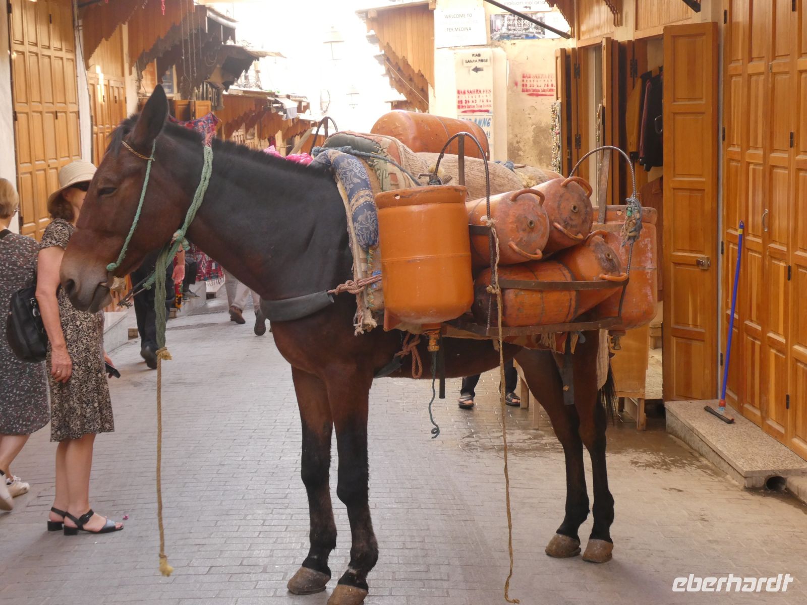 Transport mit dem Maultier