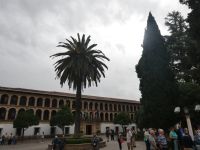 Blick auf das Rathaus von Ronda