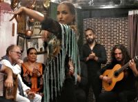 anmutiger Tanz und Kraft