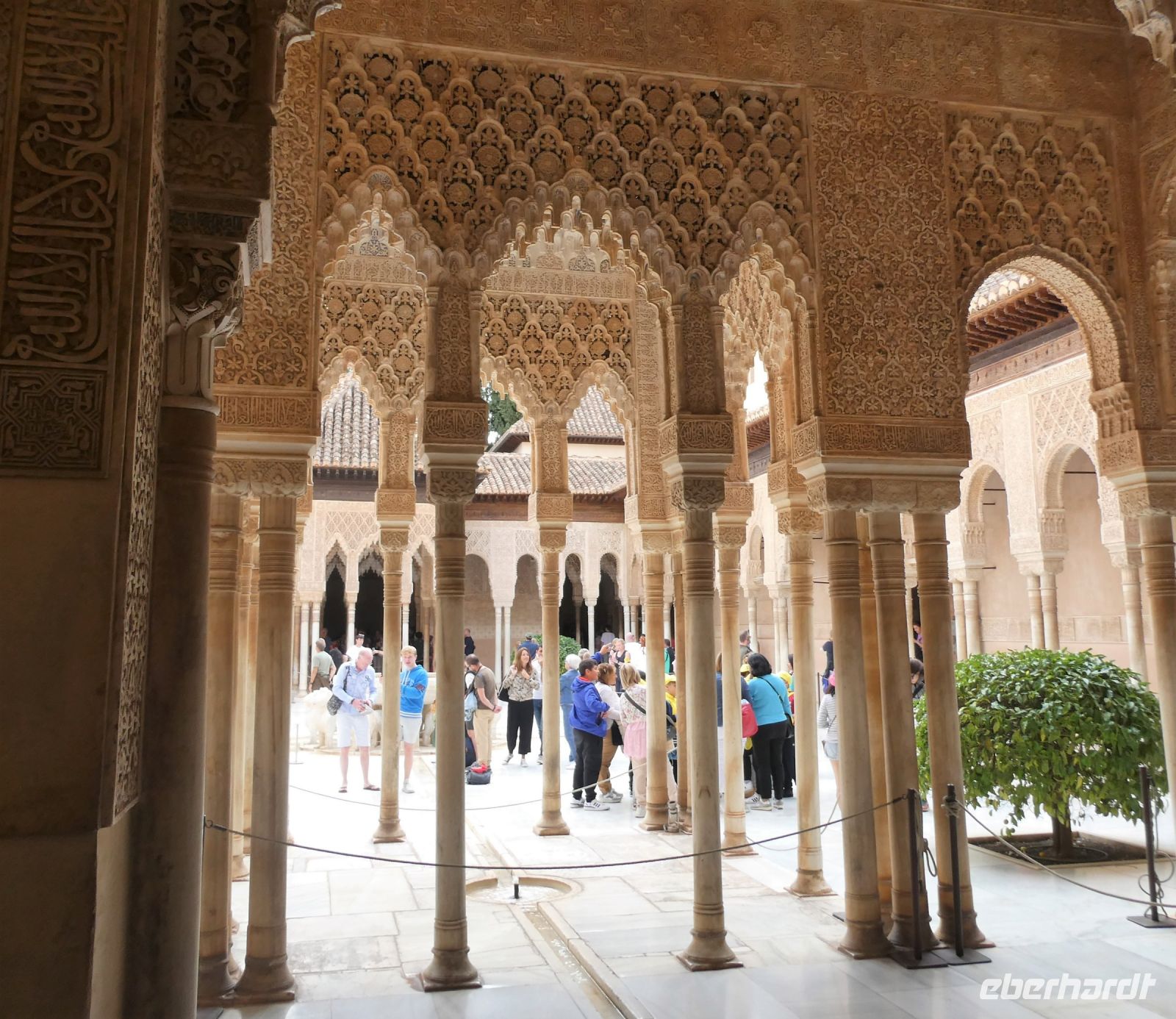 Blick in den Löwenhof