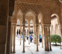 Blick in den Löwenhof