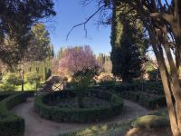 Frühjahr in der Alhambra