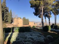 Morgendlicher Spaziergang durch die Gärten der Alhambra