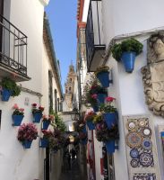 Córdobesische Impressionen 