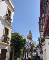 Blick auf den Turm der Kathedrale von Córdoba