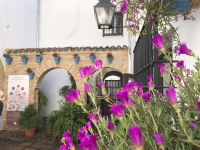 die Pracht der Hinterhöfe in Córdoba