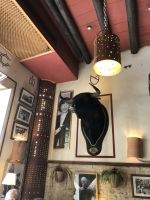 Mittagessen unter Beobachtung