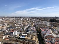 Blick über Sevilla vom Glockenturm aus