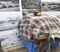 Katzenruhe auf dem Platz vor dem Bab Mansour