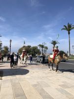 Wachablösung vor dem Mausoleum Mohammed V.