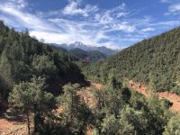 Blick zu den verschneiten Gipfeln des Atlasgebirges