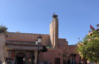 Meister Adebar hat sein Nest bezogen &ndash; &copy; Sabine C. Seifert (Eberhardt TRAVEL)