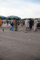 Kobras - hoffentlich entzahnt