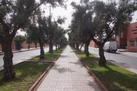 Hier liegt der olivenumsäumte Gehweg zwischen den Fahrspuren