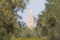 Oliven (hada'iq al-Menara) und Minarett der Kutubiyya