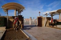 Berittene Wachen am Eingang der Hassan-Moschee aus dem 12. Jhdt., daneben liegt das Mausoelum Hassans II. 