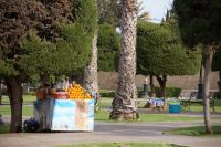 Frisch gepresster O-Saft