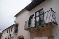 Ob der Pfau hierher gehört? 