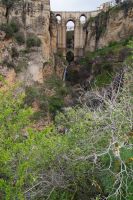 Wenn man genau hinsieht, sieht man zwischen den Mandeln den zweiten Wasserfall schimmern