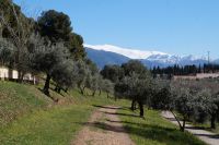 Die Sierra Nevada wird ihrem Namen (verschneites Gebirge) gerecht