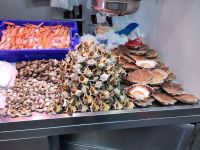 Muscheln, Schnecken, Gambas