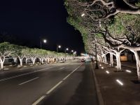 nächtlicher Spaziergang in Rabat