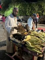 Maiskolben -  erschwinglich für Jedermann