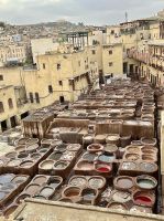 die Färberei in Fes