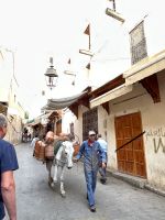 Alltag in Fes
