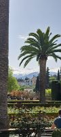 Alhambra Sierra Nevada und Palme