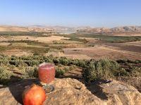 Fes Stausee Granatapfel.jpeg