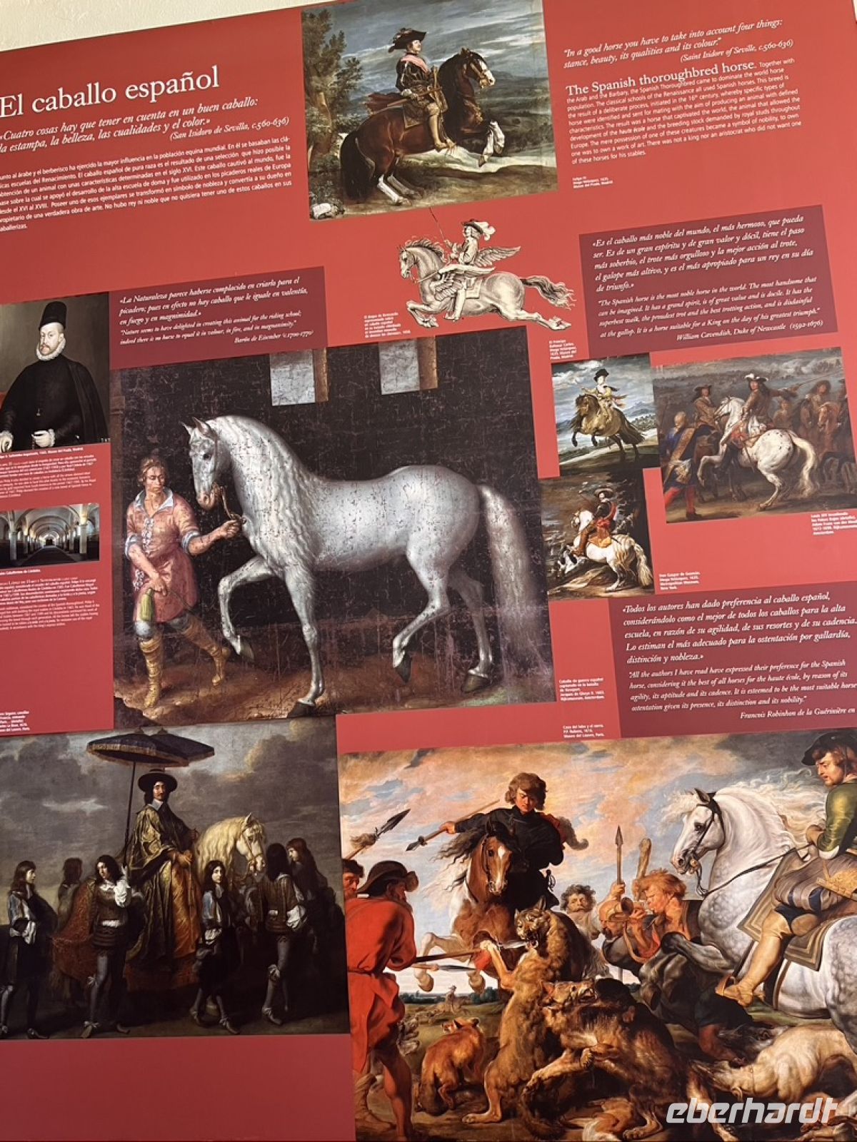 Ronda Reitschule.jpeg