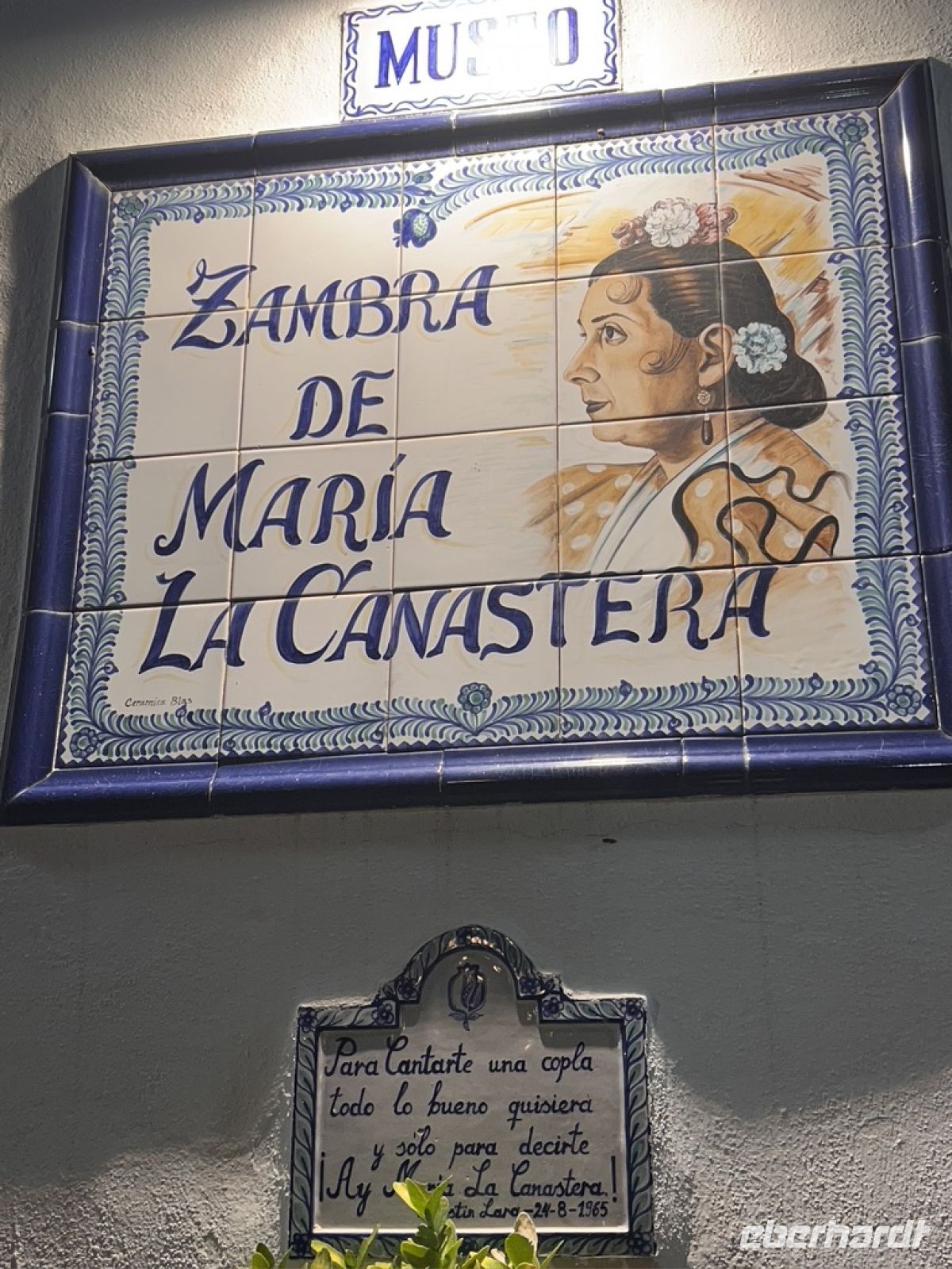 Granada Flamenco.jpeg