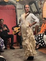 Granada Flamenco 2.jpeg