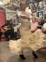 Granada Flamenco 3.jpeg